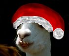 http://www.doomeer.com/plop/consigne_noel.jpg